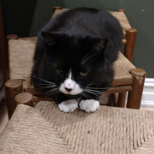 Meet your Posher, Patricia